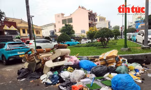 TP Hồ Chí Minh: Báo động nạn đổ trộm rác thải sinh hoạt dịp cận Tết
