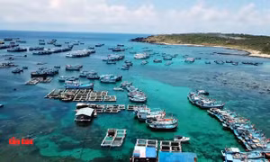 Đảm bảo cung ứng đủ hàng Tết cho người dân huyện đảo