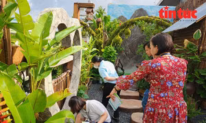  Sốt xuất huyết tăng cao, TP Hồ Chí Minh 'căng mình' xử lý ổ dịch ngay từ khu phố