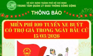 TP Hồ Chí Minh: Miễn phí vé xe buýt và metro số 1 trong ngày bầu cử 15/3