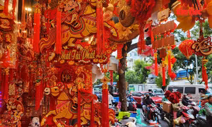 TP Hồ Chí Minh: Sắc xuân rực rỡ trên đường Hải Thượng Lãn Ông