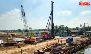 TP Hồ Chí Minh: Dồn lực thi công dự án đường Vành đai 3 đảm bảo đúng tiến độ đề ra