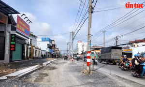 TP Hồ Chí Minh: Đẩy nhanh công tác giải phóng mặt bằng và mở rộng đường Tân Kỳ Tân Quý