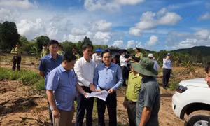 Kiên Giang ra quân xử lý vi phạm về đất đai, lâm nghiệp và xây dựng tại Phú Quốc