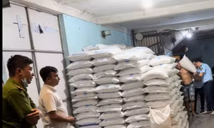 TP Hồ Chí Minh: Phát hiện hơn 26 tấn đường không có hóa đơn chứng từ