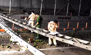 Truy tìm xe tải bỏ trốn sau khi gây sập mái che cầu vượt trước cửa hầm Thủ Thiêm