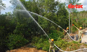 TP Hồ Chí Minh chủ động ứng phó nguy cơ cháy rừng mùa khô 2026