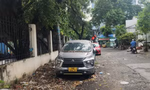 TP Hồ Chí Minh: Đã liên hệ được chủ xe ô tô 7 chỗ đậu bên đường cả năm tại Tân Phú