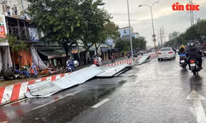 TP Hồ Chí Minh: Mưa lớn kèm dông lốc khiến nhiều nhà dân tốc mái, cây xanh bật gốc