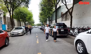 TP Hồ Chí Minh: Ô tô đỗ tràn lan chiếm dụng vỉa hè, lòng đường
