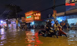 TP Hồ Chí Minh chủ động ứng phó đợt triều cường vượt mức báo động III