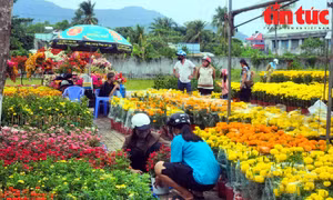 Chợ hoa Xuân vùng biên An Giang nhộn nhịp ngày cận Tết