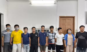 TP Hồ Chí Minh: Bắt các đối tượng dán quảng cáo lên trụ điện, cây xanh