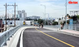 TP Hồ Chí Minh: Cận cảnh cầu Rạch Đỉa trước ngày thông xe