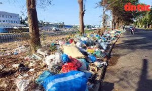 TP Hồ Chí Minh: Rác thải chất đống ven đường gây hôi thối, ô nhiễm môi trường