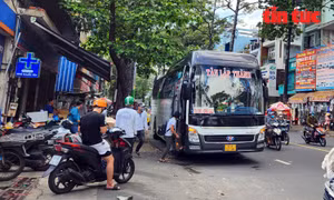 TP Hồ Chí Minh: Xử lý vấn nạn ‘xe dù', 'bến cóc’