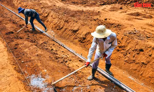 Đồng Nai tiếp tục gia hạn giải quyết nhu cầu đất đắp phục vụ cao tốc Phan Thiết - Dầu Giây