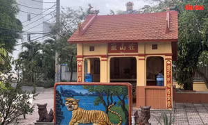 Độc đáo tục thờ hổ của người dân Nam Bộ