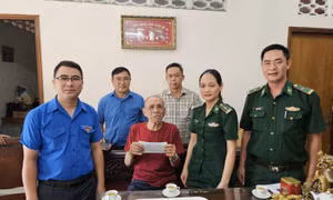 TP Hồ Chí Minh: Nhiều hoạt động tri ân nhân Ngày Thương binh - Liệt sĩ 