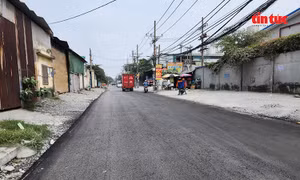 Đường Tân Thới Nhất 08 được sửa chữa sau phản ánh của Báo Tin tức và Dân tộc