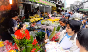 Nhộn nhịp chợ hoa lớn nhất TP Hồ Chí Minh những ngày giáp Tết 