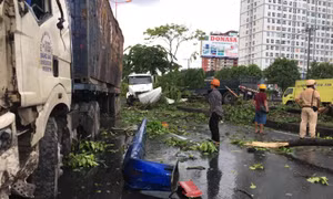 Xe container đâm gãy cột đèn cùng nhiều cây xanh trên Xa lộ Hà Nội