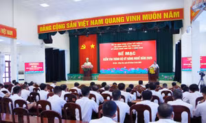 Kiểm tra kỹ năng nghề Vùng 3: Xây nền tảng huấn luyện chính quy, hiện đại