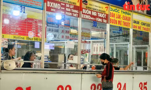 TP Hồ Chí Minh: ‘Cháy’ vé xe khách về miền Trung, Tây Nguyên và miền Tây