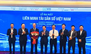 Kiến tạo giá trị vì sự phát triển bền vững của Việt Nam trong kỉ nguyên số
