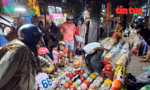 TP Hồ Chí Minh: Người dân đổ xô đi mua heo đất cầu tài lộc dịp vía Thần Tài