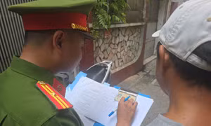 Công an thực hiện thu thập thông tin và đổi giấy phép lái xe sang thẻ PET như thế nào?