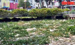 TP Hồ Chí Minh: Kênh Nhiêu Lộc - Thị Nghè ngập trong rác