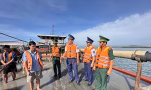 Bộ Tư lệnh Vùng Cảnh sát biển 3 bắt giữ tàu vận chuyển cát trái phép 