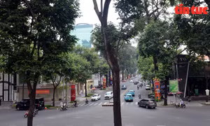 TP Hồ Chí Minh: Hạn chế lưu thông tại khu vực trung tâm phục vụ Lễ hội Thanh niên 2025