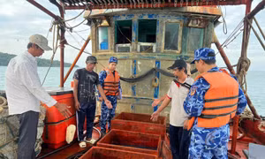 Cảnh sát biển bắt giữ tàu cá vận chuyển 50.000 lít dầu DO không rõ nguồn gốc