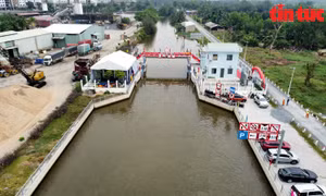 TP Hồ Chí Minh đưa vào hoạt động cống ngăn triều trên rạch Cầu Sập