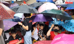 Mưa tầm tã cũng không làm ai rời vị trí chờ xem diễu binh, diễu hành sáng 2/9