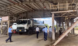 TP Hồ Chí Minh: Hơn 10.000 lít xăng RON 95-III không đạt chất lượng buộc tái chế