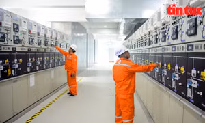 Sự cố mất điện tối 31/7: Điện lực TP Hồ Chí Minh vẫn chưa xác định được nguyên nhân