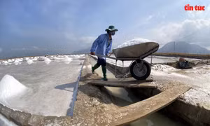 Ngắm những cánh đồng trắng tinh ở thủ phủ muối Ninh Thuận