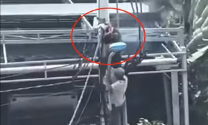 TP Hồ Chí Minh: Giải cứu nhân viên công ty cáp viễn thông bị bốc cháy trên cột điện