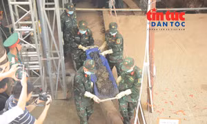 TP Hồ Chí Minh: Đã quy tập 9 bộ hài cốt liệt sĩ tại Công viên Lê Thị Riêng