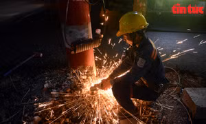 TP Hồ Chí Minh: Thu hồi 76 trụ điện trên đường Dương Quảng Hàm trong đêm