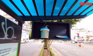 TP Hồ Chí Minh: Hơn 170 bảng thông tin xe buýt ngừng hoạt động do mất cắp, hư hỏng