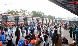 Bộ Tư lệnh TP Hồ Chí Minh hỗ trợ đưa gần 800 người dân về 5 tỉnh miền Tây