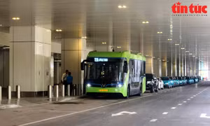 TP Hồ Chí Minh: Miễn vé xe buýt toàn thành phố trong ngày 30/4