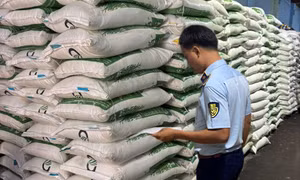 Quản lý thị trường TP Hồ Chí Minh tạm giữ 2 tấn đường cát nhập lậu