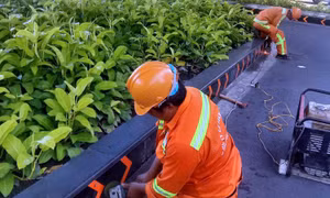 TP Hồ Chí Minh: Những chiếc đinh vít ‘bẫy’ người đi đường đã được cắt bỏ