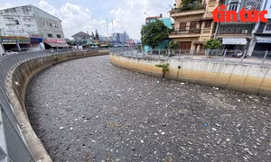 TP Hồ Chí Minh: Rác thải phủ kín mặt kênh Nước Đen