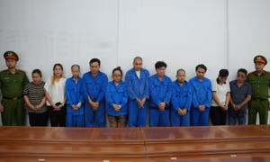 TP Hồ Chí Minh: Khởi tố 11 bị can liên quan hoạt động mua bán thận